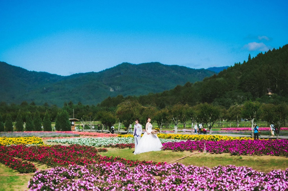静岡フォトウエディングのフィーノスタイルで撮影した画像集2022年7月17日更新の山中湖花の都公園の画像5