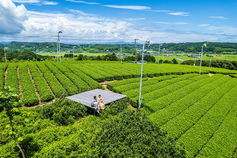 静岡フォトウエディングのフィーノスタイルで撮影した大地の茶の間の画像12
