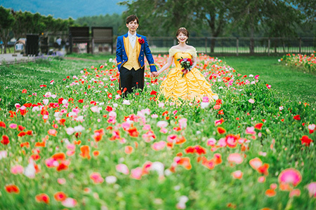 静岡フォトウエディングのフィーノスタイルの山中湖花の都公園